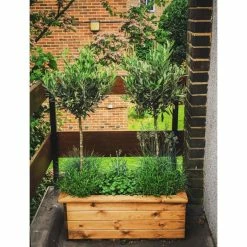 Charles Taylor 112cm Redwood Trough Planter 5 Charles Taylor 112cm Redwood Trough Planter -Planters Outlet Store FU5942 add image 1 832a