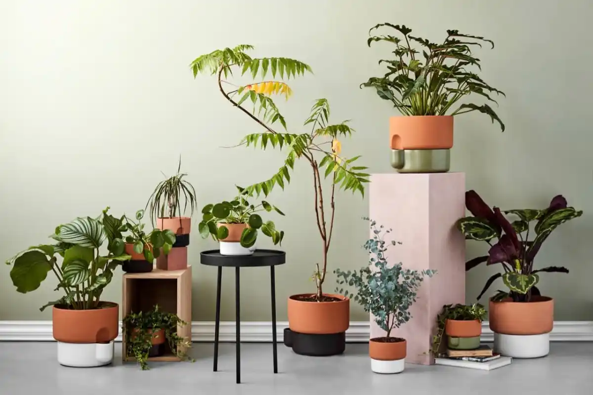 Planters Outlet Store 2 Planters Outlet Store -Planters Outlet Store Oasis self watering pot by Ann Kristin Einarsen 1