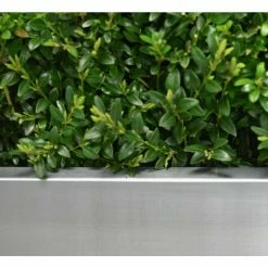 100cm Zinc Galvanised Silver Trough Planter - By Primrose™ 11 100cm Zinc Galvanised Silver Trough Planter - By Primrose™ -Planters Outlet Store PP0003XL add image 1 7729