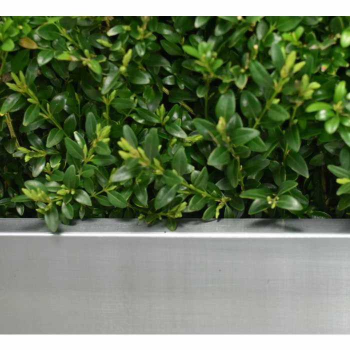 100cm Zinc Galvanised Silver Trough Planter - By Primrose™ 5 100cm Zinc Galvanised Silver Trough Planter - By Primrose™ - Image 3