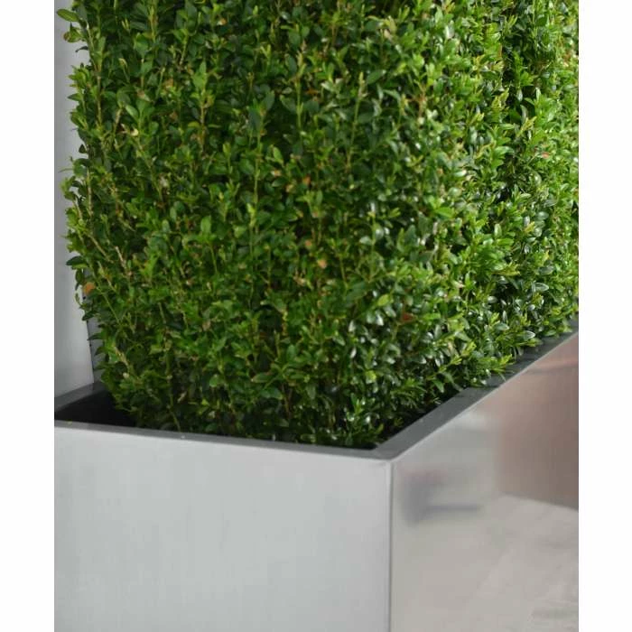 100cm Zinc Galvanised Silver Trough Planter - By Primrose™ 6 100cm Zinc Galvanised Silver Trough Planter - By Primrose™ - Image 4