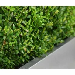 100cm Zinc Galvanised Silver Trough Planter - By Primrose™ 14 100cm Zinc Galvanised Silver Trough Planter - By Primrose™ -Planters Outlet Store PP0003XL add image 4 94cc