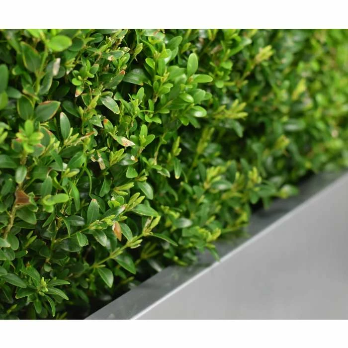 100cm Zinc Galvanised Silver Trough Planter - By Primrose™ 8 100cm Zinc Galvanised Silver Trough Planter - By Primrose™ - Image 6