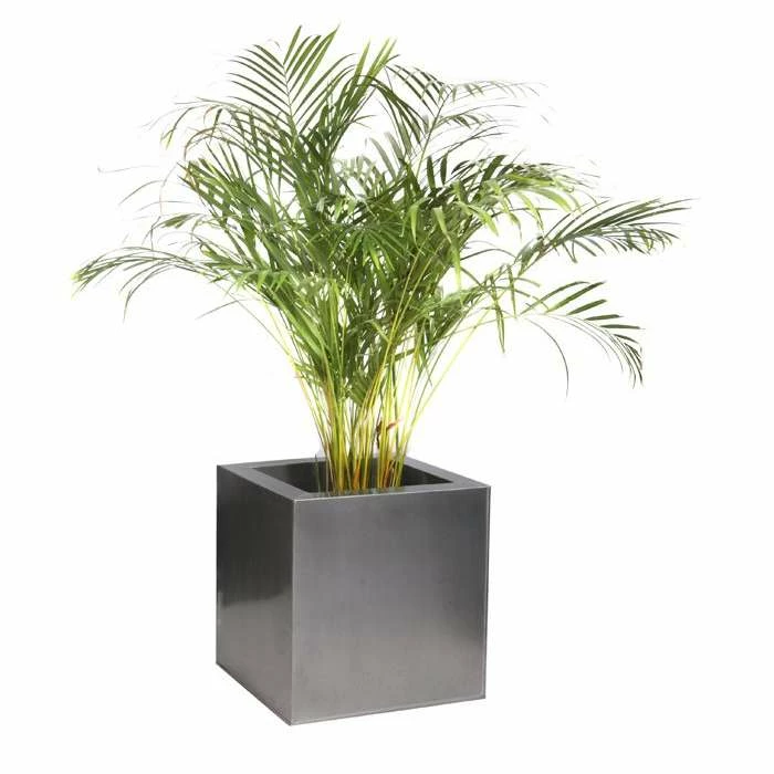 50cm Zinc Galvanised Silver Cube Planter - By Primrose™ 9 50cm Zinc Galvanised Silver Cube Planter - By Primrose™ - Image 7