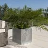 50cm Zinc Galvanised Silver Cube Planter - By Primrose™ -Planters Outlet Store PP0079X main image 63ec