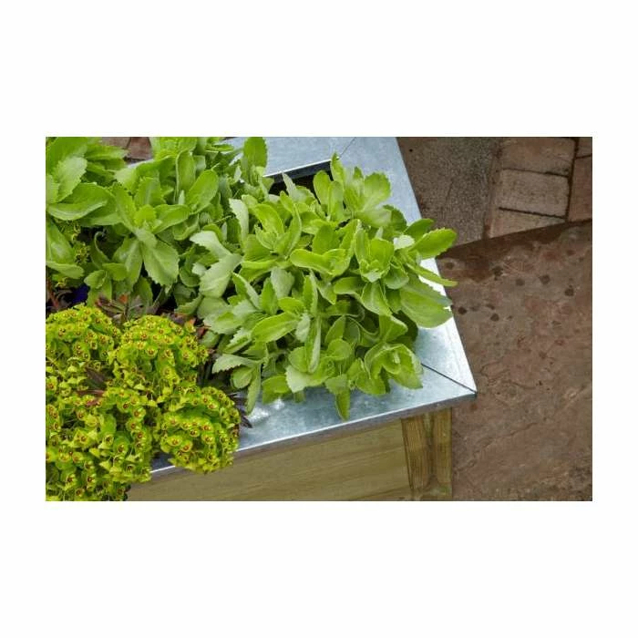 Wooden Cambridge Planter 100cm x 50cm 5 Wooden Cambridge Planter 100cm x 50cm - Image 3