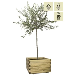 50cm Medium Wooden Pine Raised Cube Planter -Planters Outlet Store PP3422 main image.png bb9a