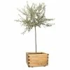 60cm Large Wooden Pine Raised Cube Planter 2 60cm Large Wooden Pine Raised Cube Planter -Planters Outlet Store PP3423 rollover image 5221