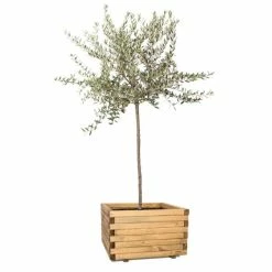 60cm Large Wooden Pine Raised Cube Planter