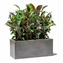 75cm Trough Zinc Silver & Black Textured Dipped Galvanised Planter -Planters Outlet Store PP40760 add image 4 32b1