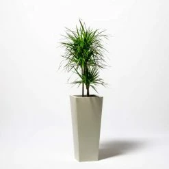 90cm Flared Square Zinc Ivory Textured Dipped Galvanised Planter 10 90cm Flared Square Zinc Ivory Textured Dipped Galvanised Planter -Planters Outlet Store PP40770 add image 4 e661