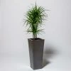 70cm Flared Square Zinc Silver & Black Textured Dipped Galvanised Planter -Planters Outlet Store PP40775 main image 9171