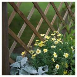 6ft Wooden Venice Trough and Trellis Planter -Planters Outlet Store PP6091 add image 2 3c51